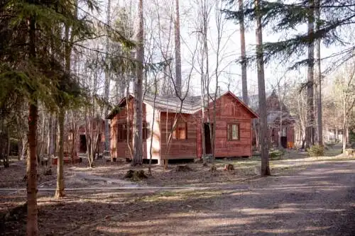 Истралайф - 84