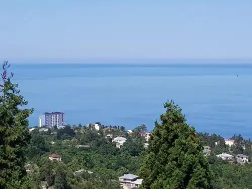 Зеленый мыс - 23