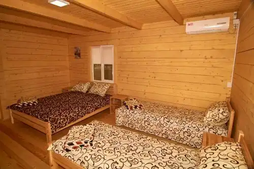 Грачи - 23