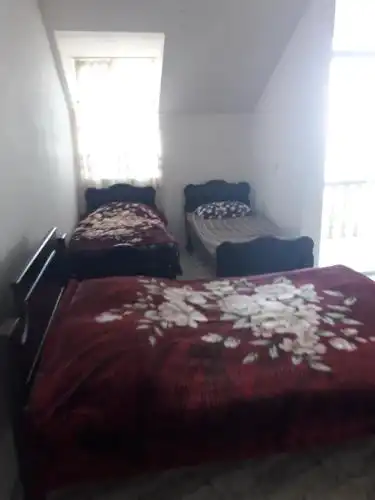 Guest House Mari - 31