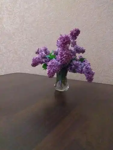 Хорол-1 - 23