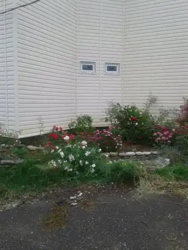 Зеленая Дубрава - 27