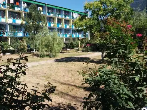 Магнолия - 9