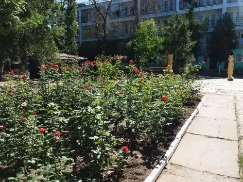 Магнолия - 19