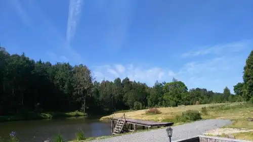 Шишкин дом - 12