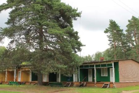 Орлинка - 101