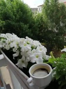 12 ЛЕНИНА - 51