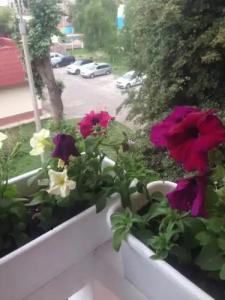 12 ЛЕНИНА - 52