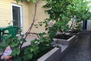 Гостевой дом на Антонова 12, Коктебель