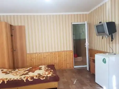 Виктория - 4