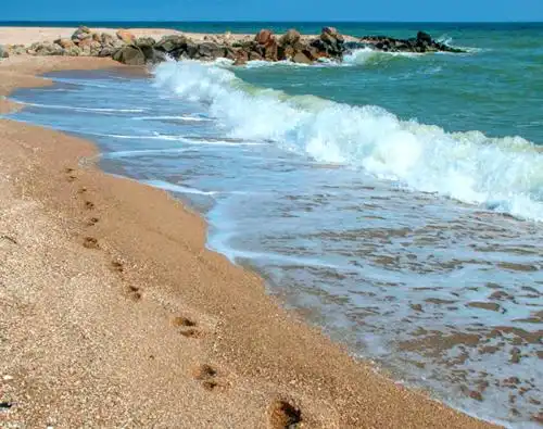 SeaZone - 2