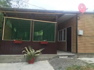 Каролина - 0