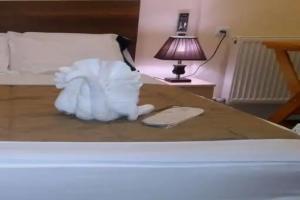 DISI Hotel, Тбилиси