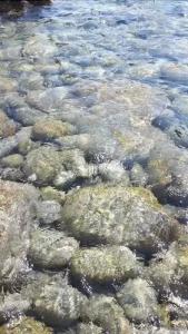 b&b La Casa Sul Colle - 8