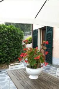 b&b La Casa Sul Colle - 10