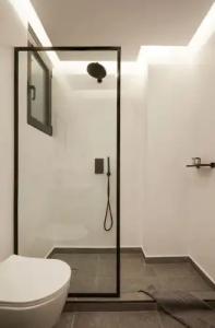 The Artist Athens - 108