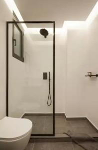 The Artist Athens - 46