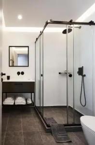 The Artist Athens - 240