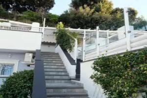 Pharus miseni B&B, Баколи