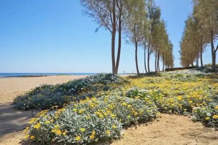 Sunrise Seaview Villas - 89