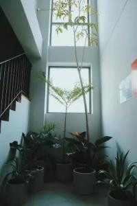 Marilyn Boutique Nha Trang - 7