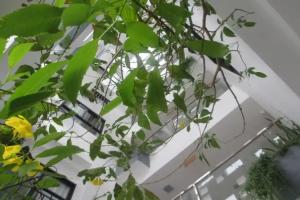 Ale Nha Trang Hotel, Нячанг