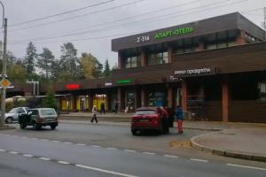 Зеленогорск 516 (квартира №1), Зеленогорск