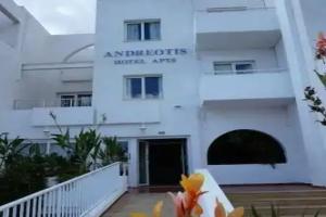Andreotis Hotel Apts