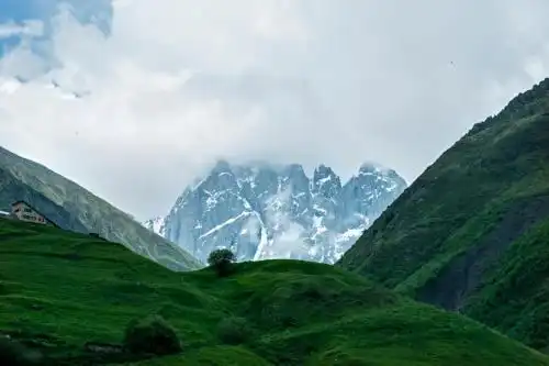 Шиби - 20