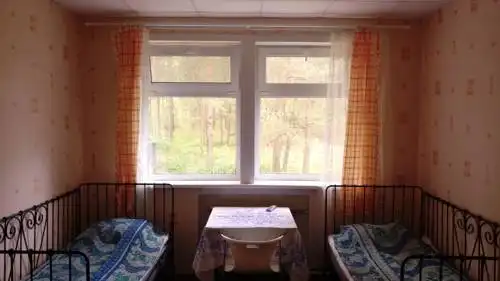 Зеленый бор - 31