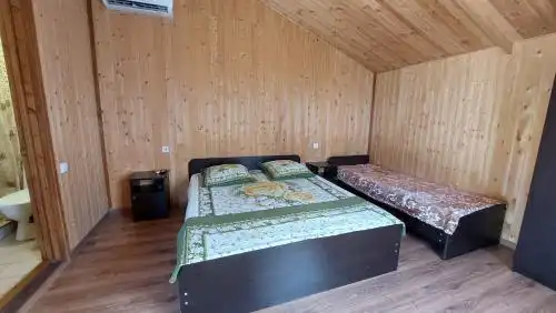 Камелия - 61