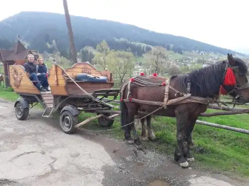 Частная усадьба «Китица - 31