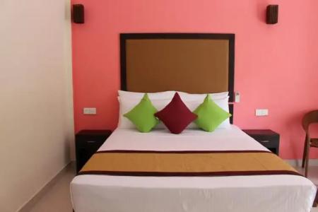 Organic Garden Sigiriya - 1