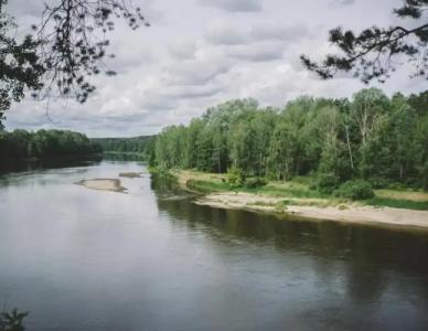 Poilsis Pas Tada - 15