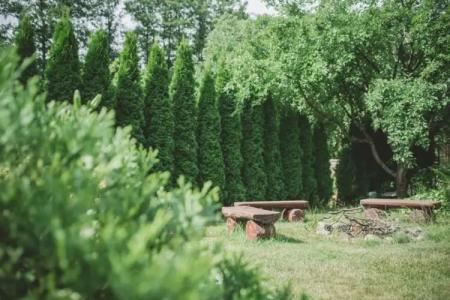 Poilsis Pas Tada - 13