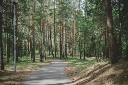 Poilsis Pas Tada - 14