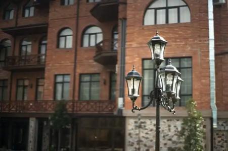 Botanic Boutique - 1