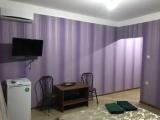 Двухместный номер Делюкс с 1 кроватью (на 2 взрослых + 1 ребенка)