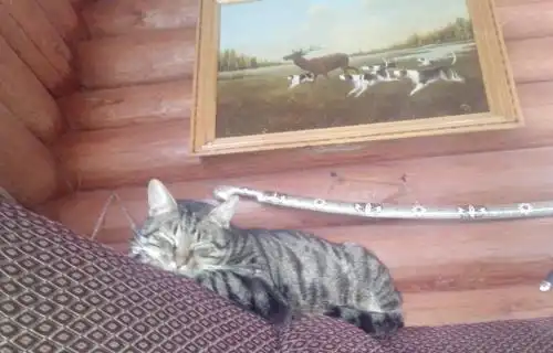 В Устье - 48