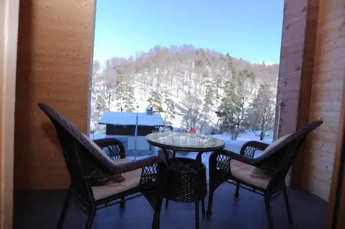 Долина Бакуриани - 1