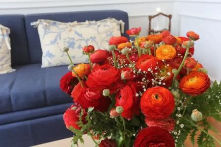 Promenade Maison de Charme - 71