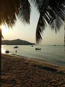 Asia's Beach - 10