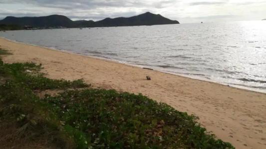 Asia's Beach - 43