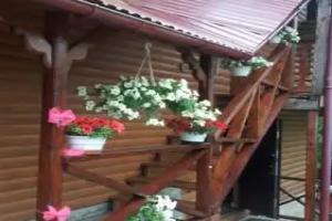 Дом «Под Плаем», Воловец