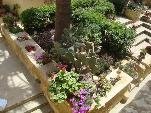 Garden House - 16