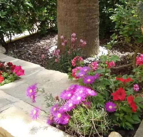 Garden House - 14