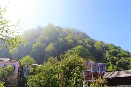 Green house in gonio - 34