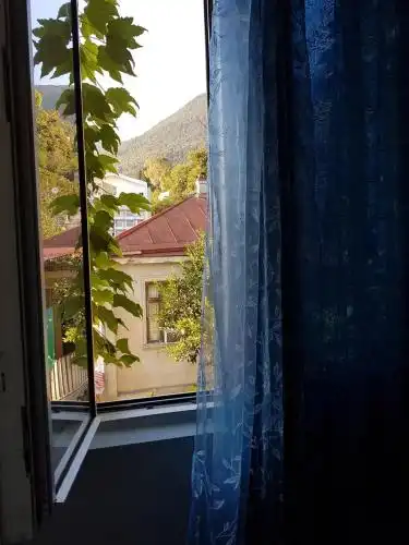Зефир - 39