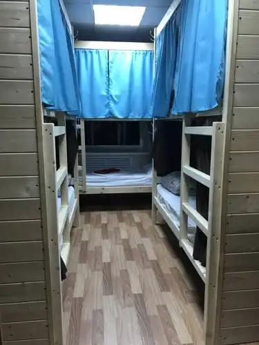 Киви - 66