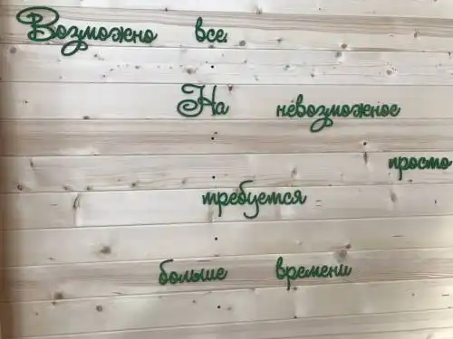 Киви - 49